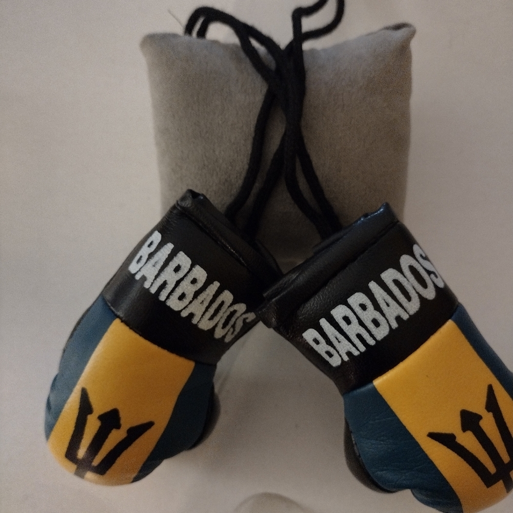 COPY - Mini glove with country flag and name.